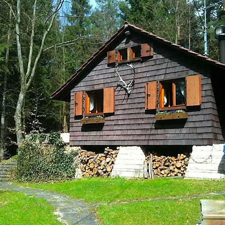 Speidel's Braumanufaktur 4*