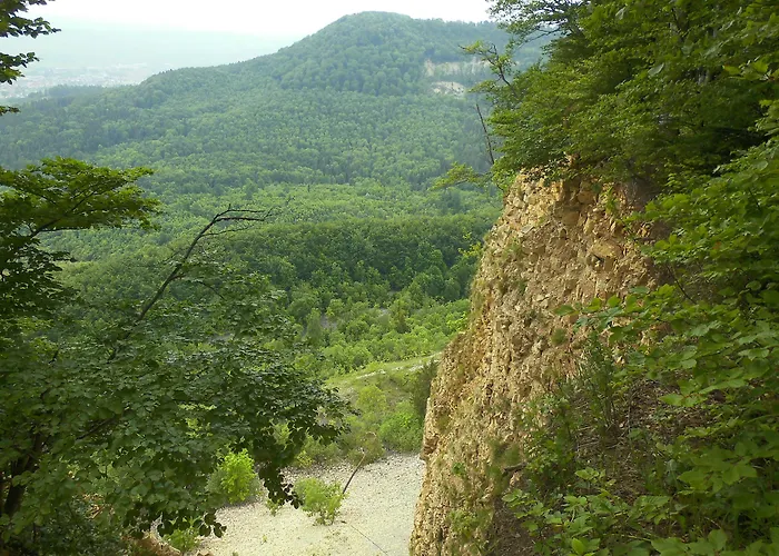 Szálloda Speidel's Braumanufaktur Ödenwaldstetten